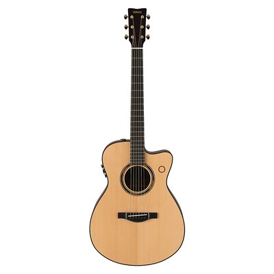 TransAcoustic guitar TAS3 C NT