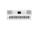PRIMARY-01 keyboard: top view (with Primary sheet overlaid)