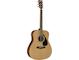FX310AII acoustic guitar