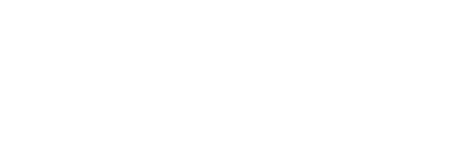 Atmosfeel™ Pickup and Preamp System