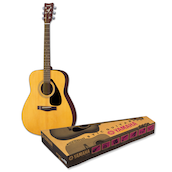 F310P acoustic guitar