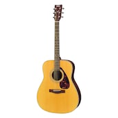 F370 acoustic guitar