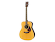 F370 acoustic guitar