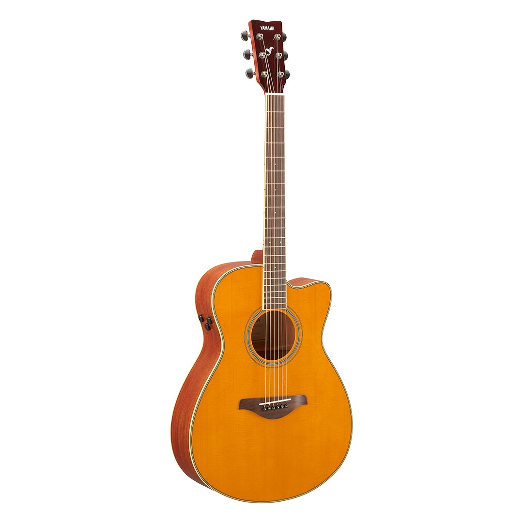 TransAcoustic Guitars (1st Gen) - Overview - Acoustic