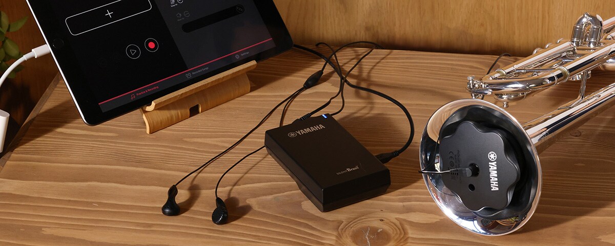 Pickup Mute™ - Overview - SILENT Brass™ - Products - Brass