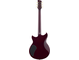 RSS20 Sunset Burst Straight Back