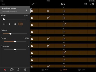 Play your favorite songs right away with chord progression