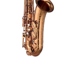 Yamaha Saxophone YTS-82ZA feature image