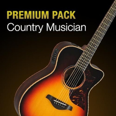 [Icon] Country Musician