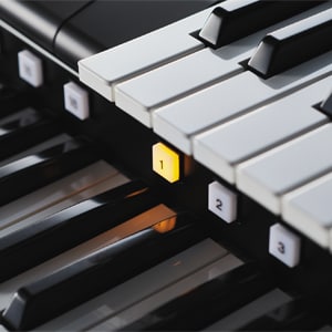 Registration | Yamaha Digital Electone Keyboard ELC 02 ( ELC02 / ELC-02 ) FS Keyboard 986 voices 2nd / Double Expression Pedal Cornerstone Music