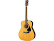 F310 acoustic guita
