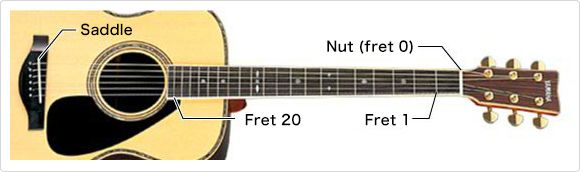Moving one fret increases the pitch by one semitone