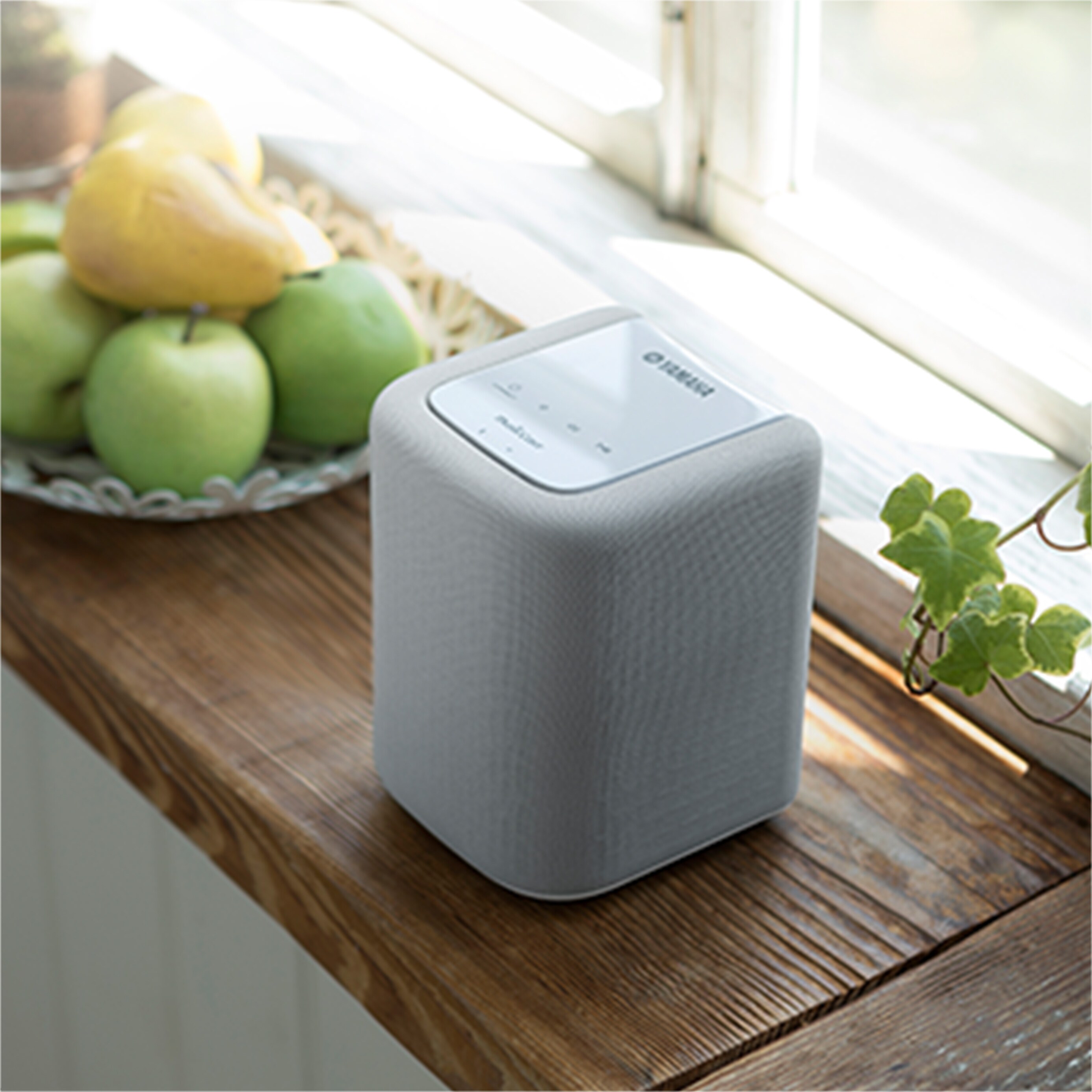 WX-010 - Overview - Wireless Speakers - Products - Home Audio
